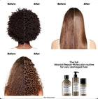 L'Oréal ABSOLUT REPAIR MOLECULAR SHAMPOO 500ml