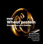 L'Oréal ABSOLUT REPAIR SHAMPOO 500ml