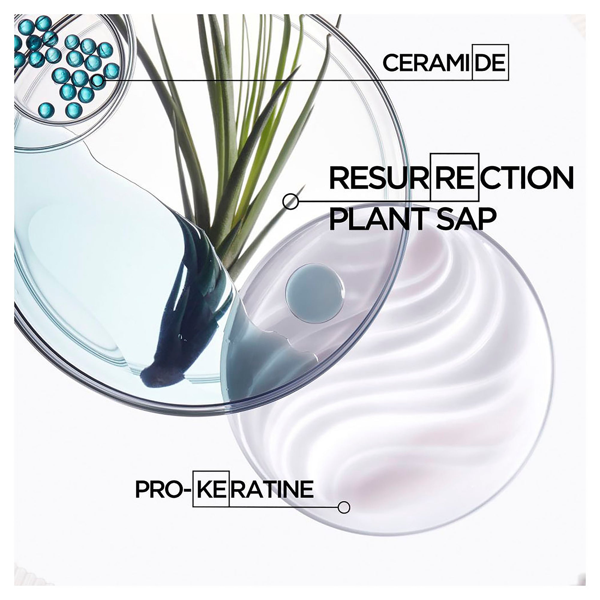 FONDANT CIMENT ANTI-USURE 200ml