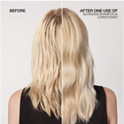 Redken Color Extend Blondage Color Depositing Purple Shampoo 500ml